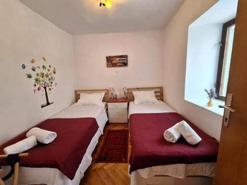Apartment Kucica