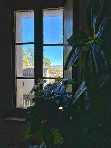 a window with a plant in front of it at Dimore Romeo - La Dimora del Corso in Montecastrilli