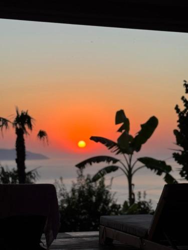 Festim Villa Hotel — Swimming pool
