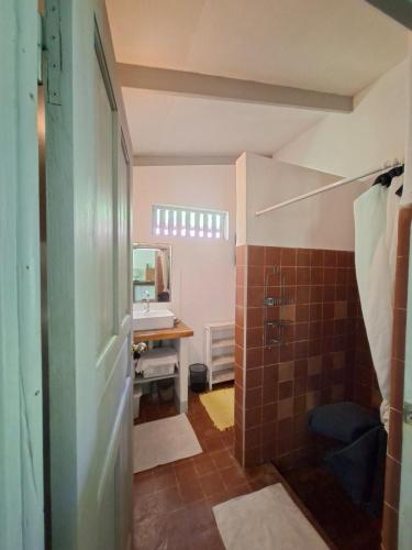 a bathroom with a shower and a sink at Maison avec bungalow Ylang in Uturoa