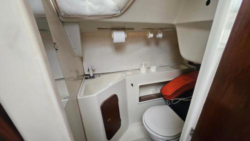 a small bathroom with a toilet and a sink at Lisboa Barco Ilinx Marina Parque das Nações in Lisbon