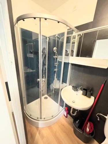 a bathroom with a shower and a sink at Studio Apartment next to Airport in Kelsterbach