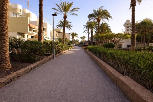 Cozy Garden Apartment Las Galletas