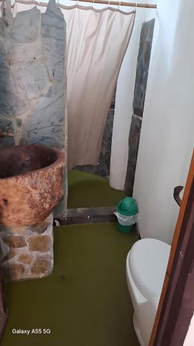 a bathroom with a toilet and a stone fireplace at finca hotel palmas frente a panaca in Quimbaya