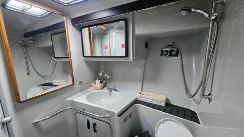 a bathroom with a sink and a toilet and a mirror at Lisboa Barco Gold Prestige Marina Parque das Nações in Lisbon