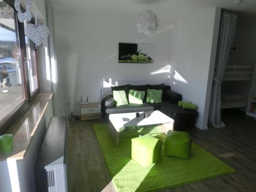 ein Wohnzimmer mit einem Sofa und einem grünen Teppich in der Unterkunft Ferienwohnung "kleines glück" in Winterberg-Niedersfeld in Winterberg