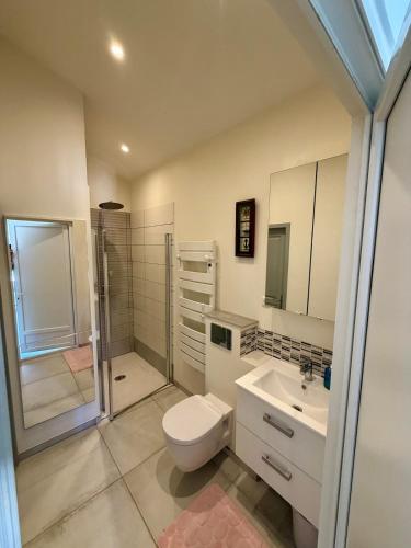 a bathroom with a toilet and a sink and a shower at Maison au calme proche accès rocade in Montauban
