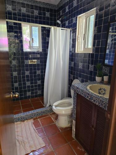 a blue tiled bathroom with a toilet and a sink at Casa Los Cardenales Ticuman in Ticumán