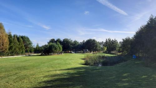 a large green field with trees and a pond at Domki Gorczyca in Płaska