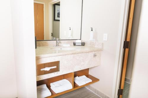 a bathroom with a sink and a mirror at Hampton Inn Tampico Zona Dorada in Tampico