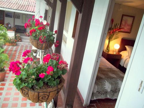 Zahrada ubytování Cabañas Las Bifloras