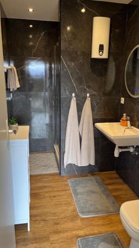 a bathroom with a shower and a sink and a toilet at Ferienwohnung Safran 2 in Konz