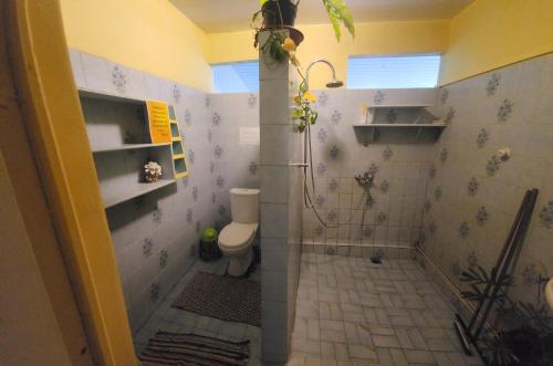 a bathroom with a shower and a toilet in it at Haekua Chez Mel in Nuku Hiva