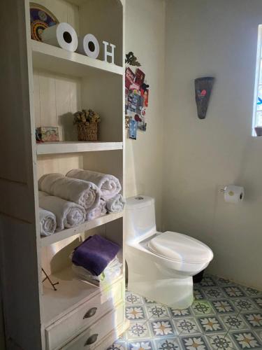 a bathroom with a toilet and a shelf with towels at el corazón del cerro in Melipilla