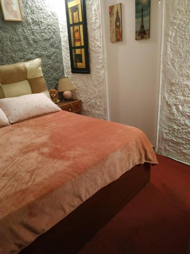 a bedroom with a bed with a orange blanket at Alojamiento Victoria in Montevideo