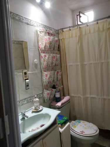 a bathroom with a sink and a toilet and a shower at Alojamiento Victoria in Montevideo