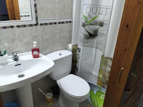 a bathroom with a toilet and a sink and a shower at La murallita de Aroa in Cañete