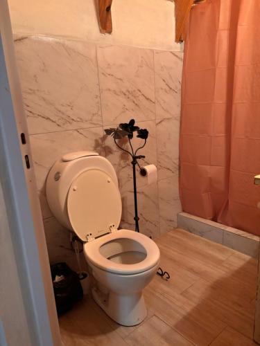 a bathroom with a toilet and a shower at Salesta San Pedro in San Pedro