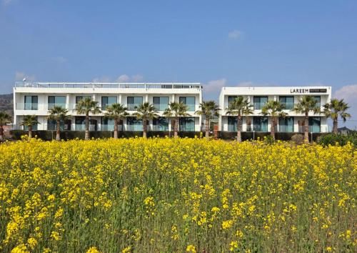 Lareem Boutique Hotel