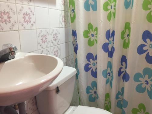 a bathroom with a sink and a toilet and a shower curtain at Hotel y Restaurante Aurora in Flores
