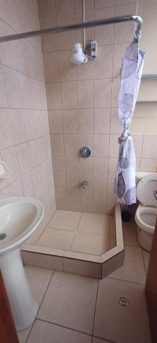a bathroom with a shower with a sink and a toilet at Hostal home 3 in Quito