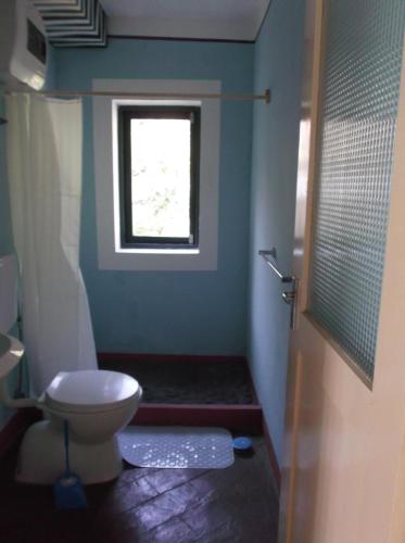 a bathroom with a toilet and a window at Misurino in Paul