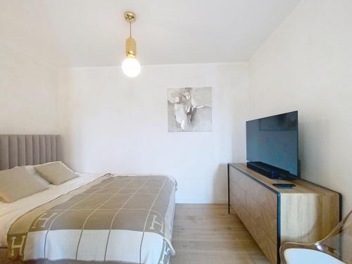 Elegant Apartment in Central Cannes