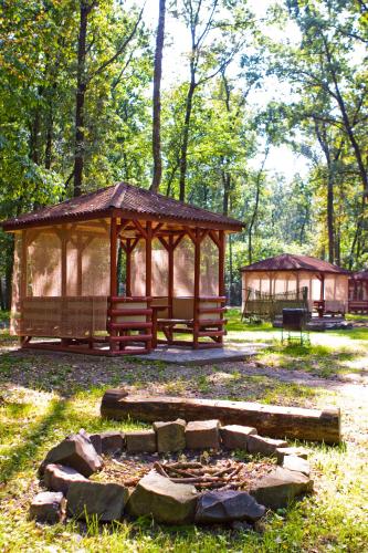a gazebo and a fire pit in a park at Hotel Complex Zelenyi Gai in Kopachuvka