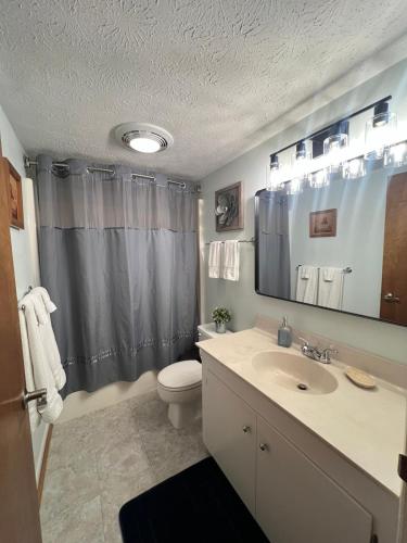a bathroom with a sink and a toilet and a mirror at Private Mountain Condo in Wintergreen