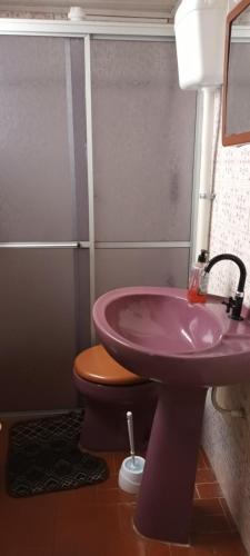 a bathroom with a pink sink and a toilet at Pousada Maria Guapa 2 in São Gabriel