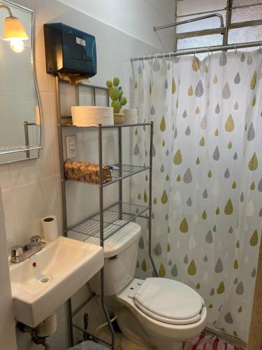 a bathroom with a toilet and a sink and a shower at Casa Girasoles in Orizaba