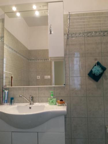 a bathroom with a sink and a mirror at Apartment Anna in Český Dub