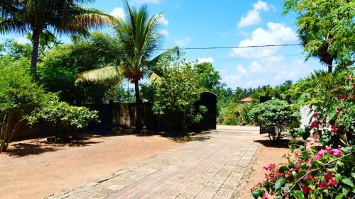 a garden with palm trees and flowers on a dirt road at Nilaveli Better Beach Resort in Nilaveli
