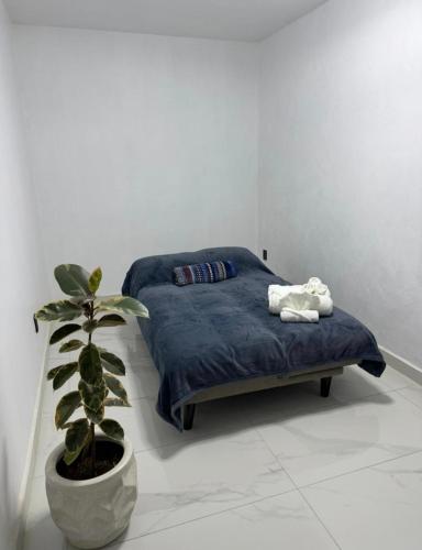 a bedroom with a bed and a potted plant at Casa Azteca de Oro in San Sebastian Xolalpa