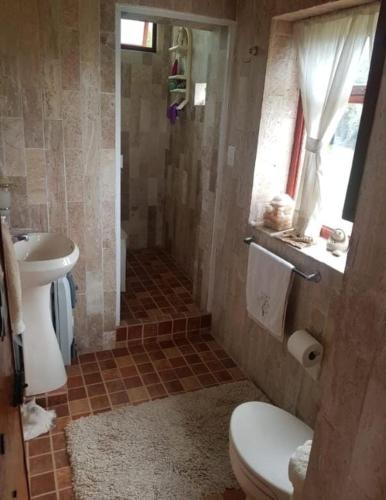a bathroom with a white toilet and a sink at RosePlace Valsequillo in Durazno