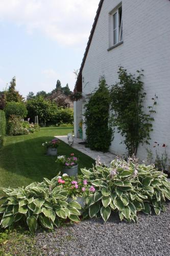 a garden with flowers and plants in front of a house at Studio Apartment Alba in La Hulpe