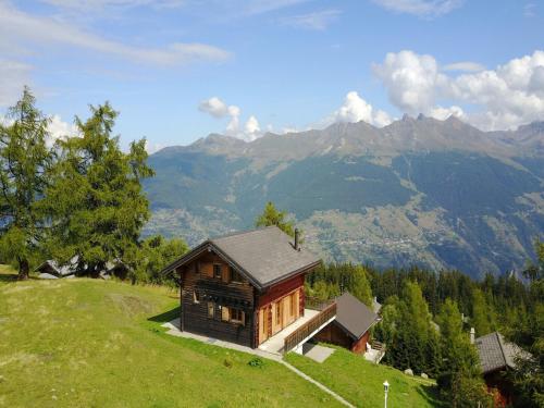 Chalet in Thyon-Les Collons