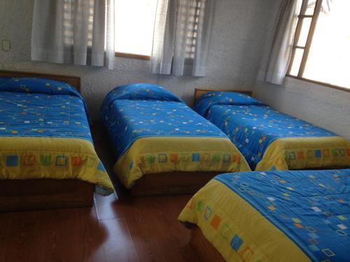 a bedroom with four beds with blue and yellow sheets at Mansion Samzara Hosteleria in Sangolquí