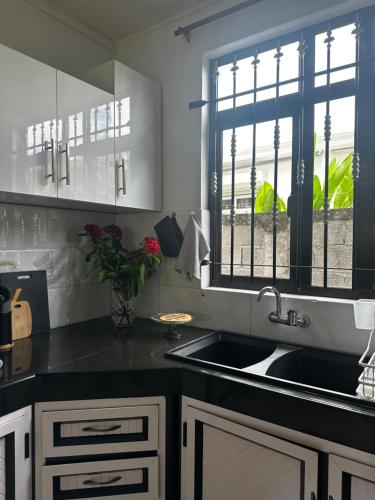 a kitchen with a sink and a window at OC Villa in Calodyne