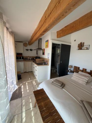 Cuina o zona de cuina de Studio dans maisonnette en pierre