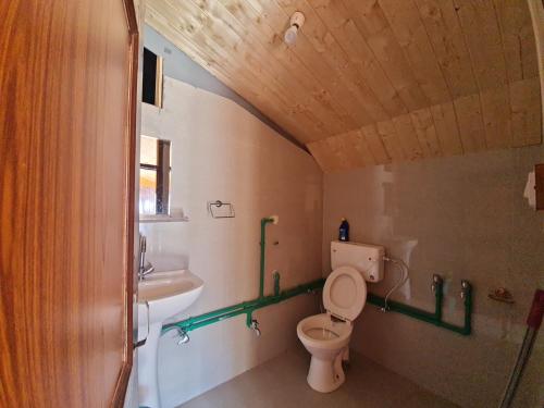 a bathroom with a toilet and a sink at Beyond Rohtang in Tāndi