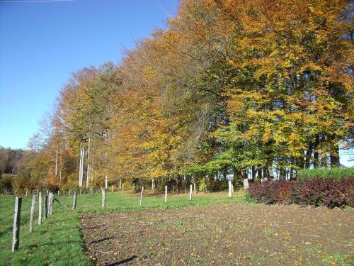 a fence in the middle of a field with trees at Gîte Les Hirondelles in Plombières-les-Bains