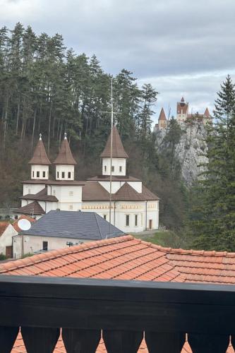 a view of a group of buildings with roofs at Pensiunea Carina in Bran