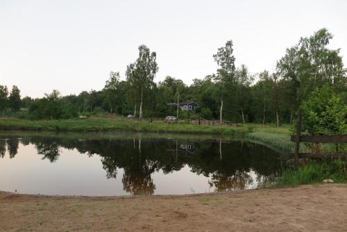 Příroda nedaleko chaty