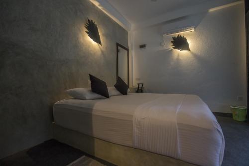 Explore Sinharaja Rain Forest Tour Camp – Photos 3