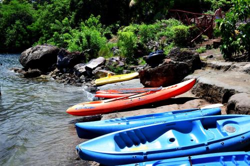 a group of kayaks lined up on the side of a river at Laguna Beach Club in La Laguna