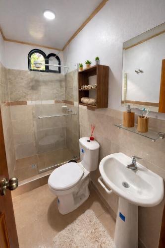 a bathroom with a toilet and a sink and a shower at La Casita de Carpintero in Cucunubá