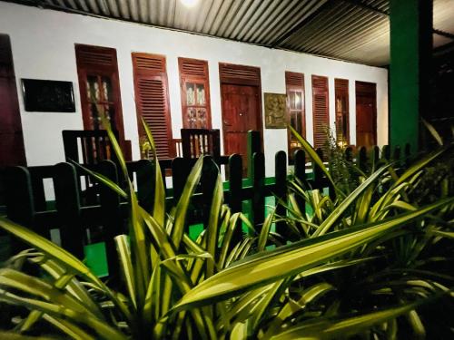 a group of chairs and plants in a room at Jm Resort in Dambulla