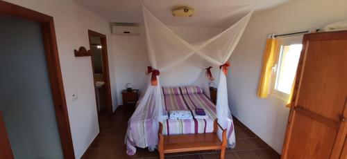 Andalusian pool villa 6 pax in subtropical garden