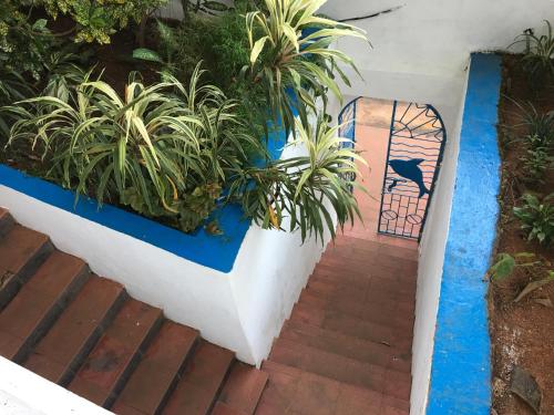 a walkway with a gate and plants on it at Oceanic - Luxury Boutique Hotel in Palolem